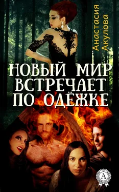 Анастасия Акулова Новый мир встречает по одёжке обложка книги