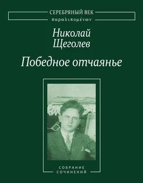 Николай Щеголев Победное отчаянье. Собрание сочинений обложка книги