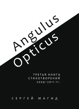 Сергей Магид Angulus / Opticus. Третья книга стихотворений. 2009–2011 гг. обложка книги