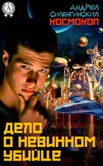 Андрей Силенгинский - Дело о невинном убийце