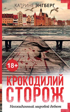 Катрине Энгберг Крокодилий сторож обложка книги