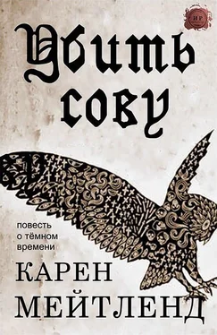 Карен Мейтленд Убить сову обложка книги