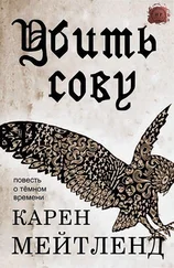 Карен Мейтленд - Убить сову