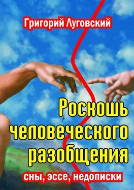 Григорий Луговский Роскошь человеческого разобщения обложка книги