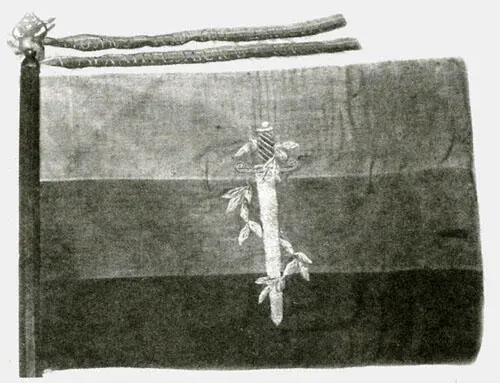 Пленные красноармейцы в лагере на Кегострове 1919 год Литература 1 - фото 25