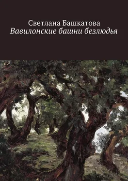 Светлана Башкатова Вавилонские башни безлюдья обложка книги