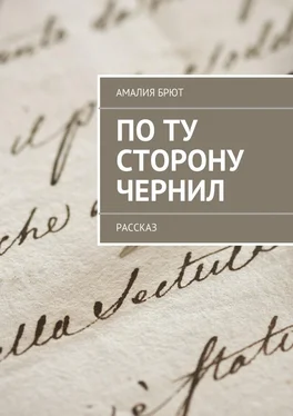 Амалия Брют По ту сторону чернил обложка книги