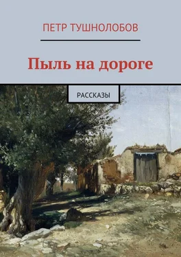 Петр Тушнолобов Пыль на дороге обложка книги