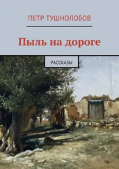 Петр Тушнолобов - Пыль на дороге