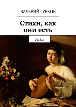 Валерий Гурков Стихи, как они есть. 2015/2 обложка книги