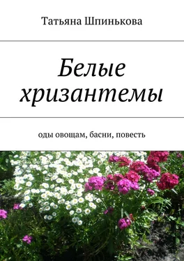 Татьяна Шпинькова Белые хризантемы обложка книги