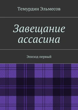 Темурдин Эльмесов Завещание ассасина обложка книги