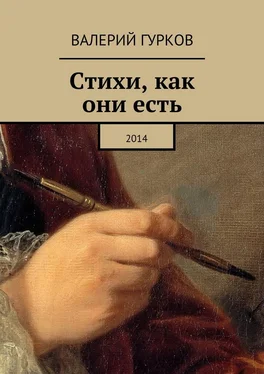 Валерий Гурков Стихи, как они есть. 2014 обложка книги