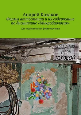 Андрей Казаков Формы аттестации и их содержание по дисциплине «Микробиология» обложка книги