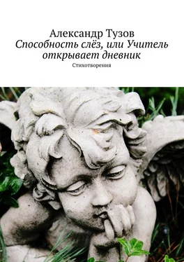 Александр Тузов Способность слёз, или Учитель открывает дневник обложка книги