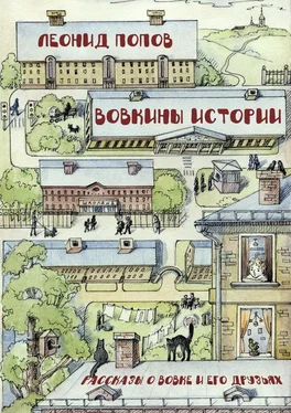 Леонид Попов Вовкины истории. Рассказы о Вовке и его друзьях обложка книги