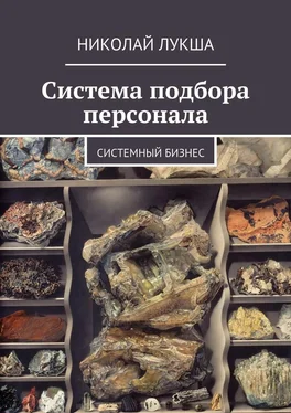 Николай Лукша Система подбора персонала обложка книги