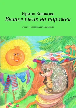 Ирина Каюкова Вышел ёжик на порожек обложка книги