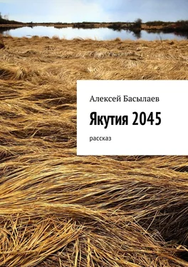 Алексей Басылаев Якутия 2045 обложка книги