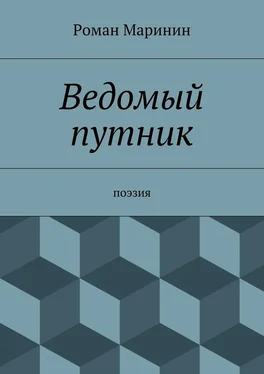 Роман Маринин Ведомый путник обложка книги