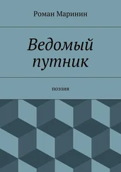 Роман Маринин - Ведомый путник