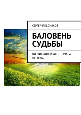 Сергей Поздняков Баловень судьбы обложка книги