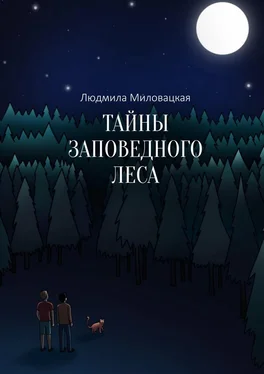 Людмила Миловацкая Тайны заповедного леса обложка книги