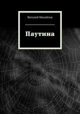 Виталий Михайлов Паутина обложка книги