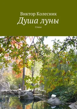 Виктор Колесник Душа луны обложка книги