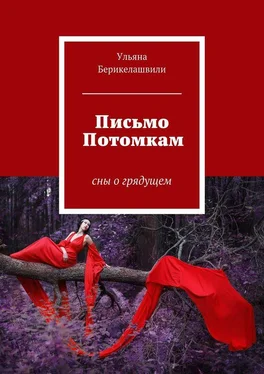 Ульяна Берикелашвили Письмо Потомкам обложка книги