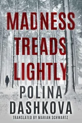 Polina Dashkova - Madness Treads Lightly