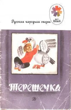 Народные сказки Терешечка обложка книги