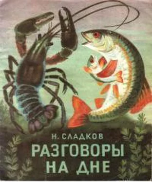 Николай Сладков Разговоры на дне обложка книги