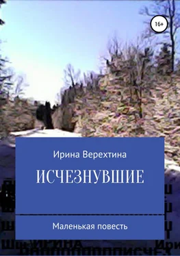 Ирина Верехтина Исчезнувшие обложка книги