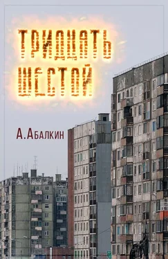 Арсений Абалкин Тридцать шестой обложка книги