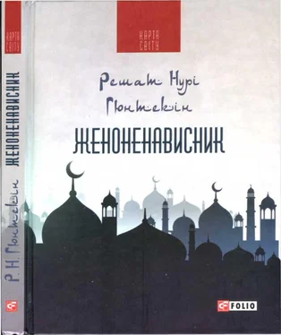 Решат Нурі Гюнтекін Женоненависник обложка книги