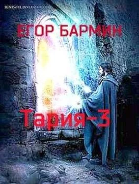 Егор Бармин Тария-3 обложка книги