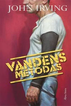 Джон Ирвинг Vandens metodas [calibre] обложка книги