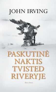 Джон Ирвинг Paskutinė naktis Tvisted Riveryje [calibre] обложка книги