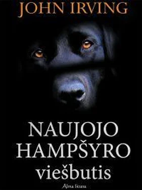 Джон Ирвинг Naujojo Hampšyro viešbutis [calibre] обложка книги