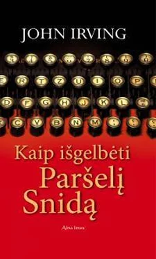 Джон Ирвинг Kaip išgelbėti Paršelį Snidą [calibre] обложка книги