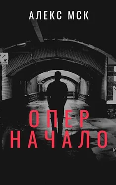 Алекс Мск Начало [СИ] обложка книги