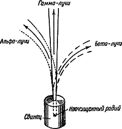 Рис 4Действие магнитного поля на радиоактивное излучение Альфа и беталучи - фото 9