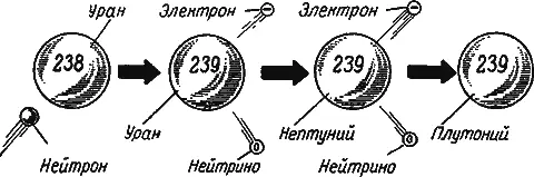 Рис 18Образование плутония 239 В настоящее время в лабораториях уже получено - фото 26