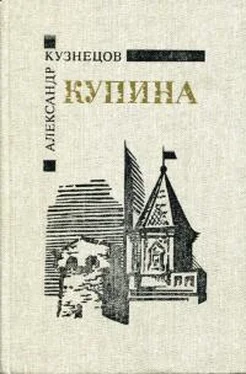 Александр Кузнецов Купина обложка книги