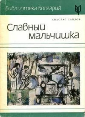 Анастас Павлов Славный мальчишка обложка книги