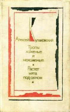 Алексей Кулаковский Тропы хоженые и нехоженые. Растет мята под окном обложка книги