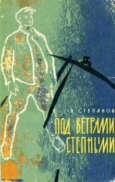 Виталий Степанов Под ветрами степными обложка книги