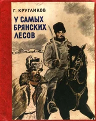 Григорий Кругликов - У самых брянских лесов