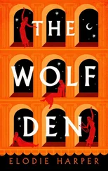 Elodie Harper - The Wolf Den